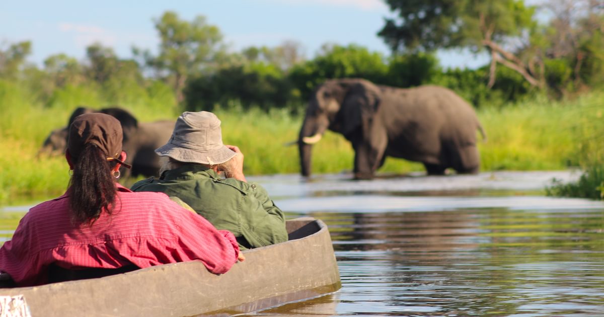 Botswana Group Tours from Canada: Shared Adventures Across Africa’s Wild Plains - Group Tour Activities and Excursions