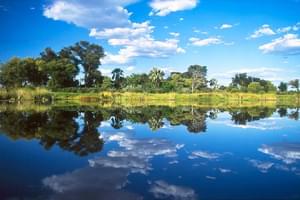 Sunway  Botswana  Okavango  Delta Reflections