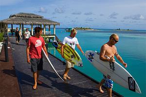 Surfers Surfers