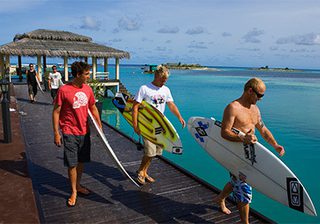 Surfers Surfers