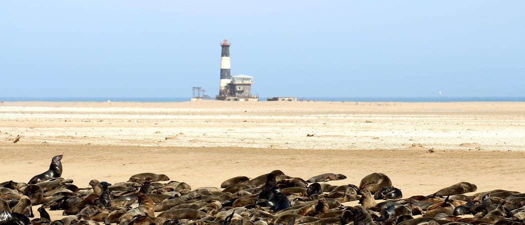 Swakopmund Kayaking