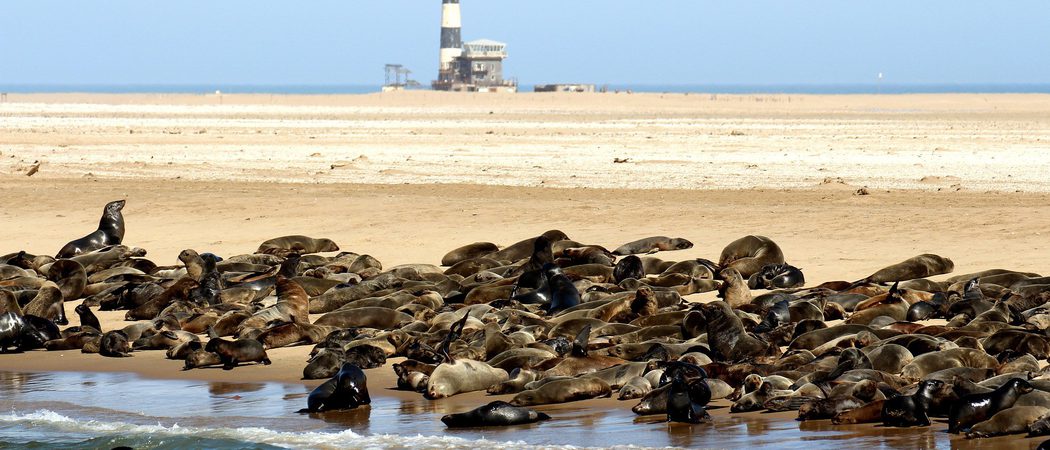Swakopmund Kayaking