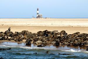 Swakopmund Kayaking