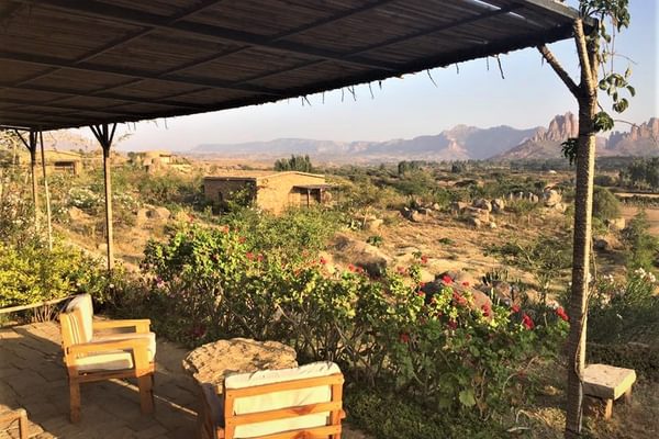 Tesfa Tigray Terrace Tesfa Tigray Terrace