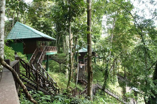 Tabin Wildlife Resort Header Tabin Wildlife Resort Header
