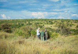 Tag kitchenitw Kitchen In The Wild Z5 A0609 copy Tag kitchenitw Kitchen In The Wild Z5 A0609 copy