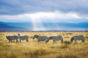 Tanzania 2 Tanzania 2