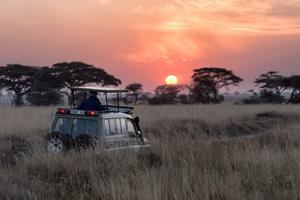 Tanzania 3 Tanzania 3
