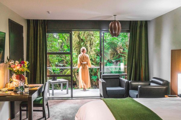Te Waonui Forest Retreat Guest Room Regular 2000x1125 Te Waonui Forest Retreat Guest Room Regular 2000x1125