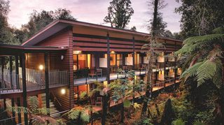 Te Waonui Forest Retreat exterior Te Waonui Forest Retreat exterior
