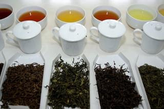 Tea Tasting Satemwa Thyolo 800 X 536