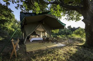 Tent Exterior  Johns Camp Tent Exterior  Johns Camp