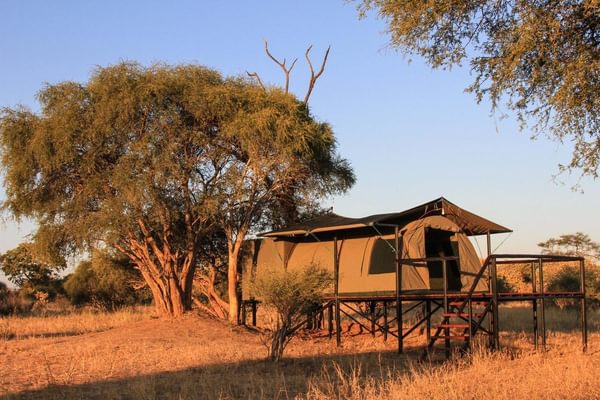 Tent Exterior Jozibanini Tent Exterior Jozibanini