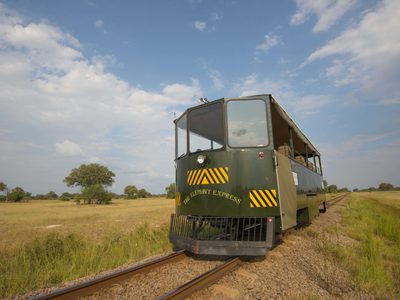 The Elephant Express In Hwange National Park The Elephant Express In Hwange National Park