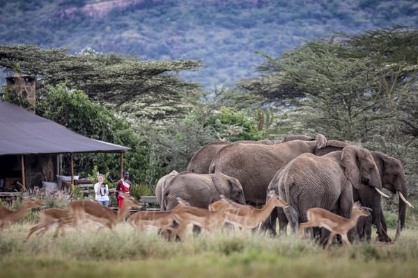 The Enasoit Camp Waterhole The Enasoit Camp Waterhole