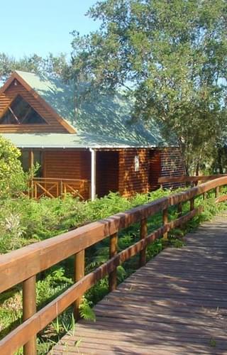 The Fernery Chalet Walkway