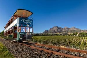 The Franschhoek Wine Tram