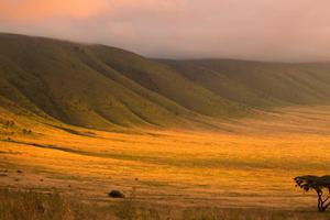 The Ngorongoro Crater Entamanu