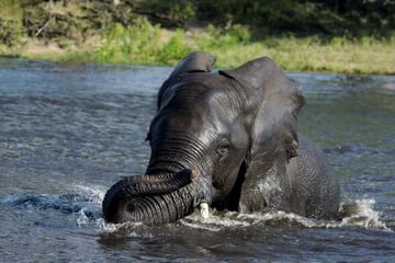 The Old House Kasane Botswana The Old House Kasane Botswana