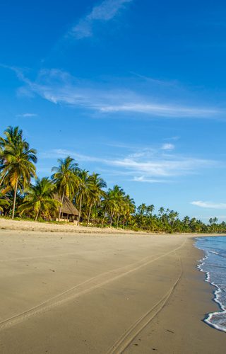 The  Tides  Lodge  Beach