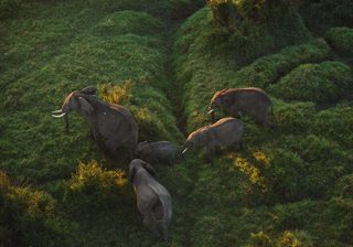 The View From A Governors Ballon The View From A Governors Ballon