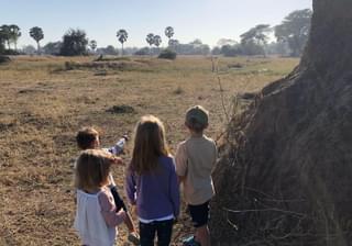 The Children Stalking A Warthog At Kuthengo Camp Liwonde
