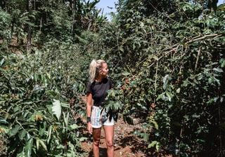 The Coffee Experience Tour In Lake Kivu Rwanda The Coffee Experience Tour In Lake Kivu Rwanda