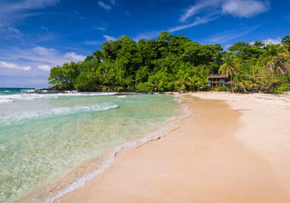The popular Red frog beach on Basimentos Island Bocas del Toro Panama Canva Pro The popular Red frog beach on Basimentos Island Bocas del Toro Panama Canva Pro