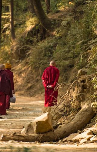 Tibetan Monks Walking In Dharamsala
