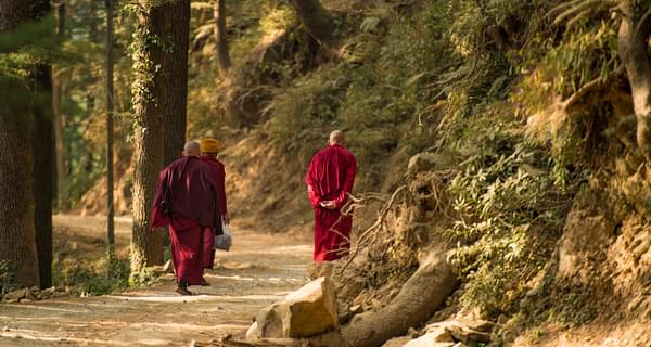 Tibetan Monks Walking In Dharamsala