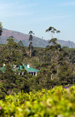 Tientsin Bungalow With Adams Peak In The Distance