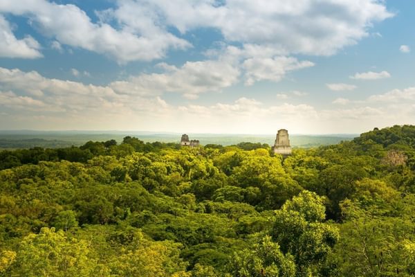 Tikal from the treetops Guatemala Tikal from the treetops Guatemala