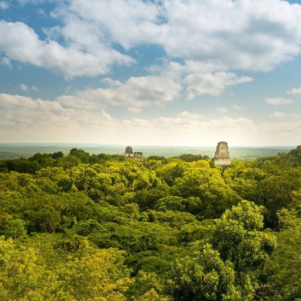 Tikal from the treetops Guatemala