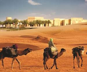 Tilal Liwa Exterior With Camels