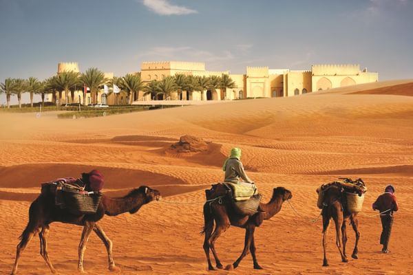 Tilal Liwa Exterior With Camels Tilal Liwa Exterior With Camels
