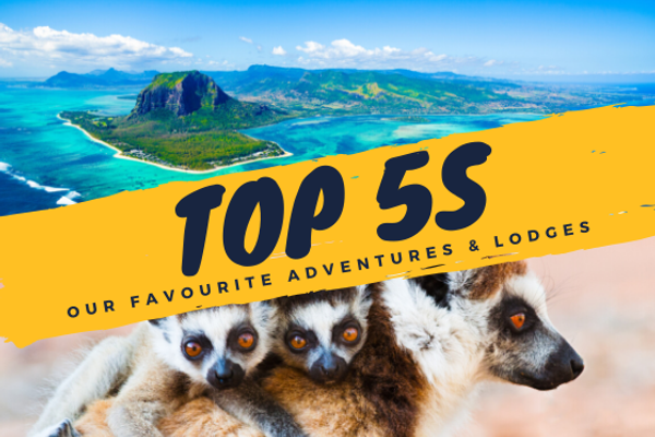 Top 5S Top 5S