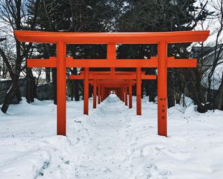 Torii gates Sapporo Hokkaido Japan Canva Pro