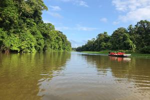 Tortuguero 2 1 Tortuguero 2 1