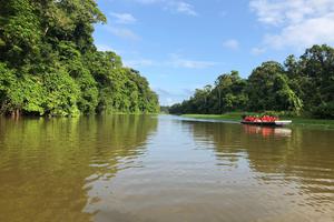 Tortuguero 2 1