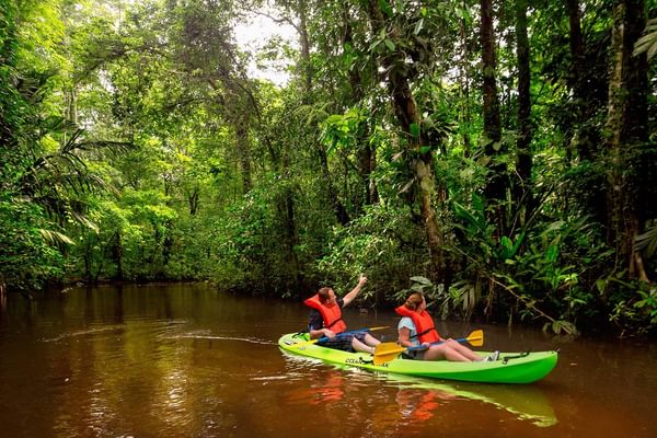 Tortuguero National Park Kayak Tour Tortuguero National Park Kayak Tour