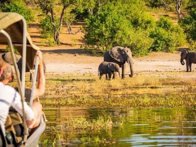 Tourists on Elephant Safari Africa Canva Pro Tourists on Elephant Safari Africa Canva Pro