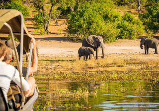 Tourists on Elephant Safari Africa Canva Pro Tourists on Elephant Safari Africa Canva Pro