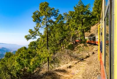 Toy Train To Shimla