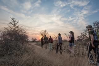 Trail Walking In South Africa