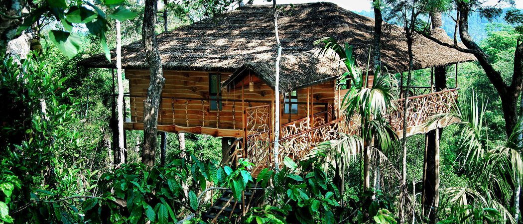 Tranquil  Resort  Treehouse