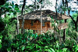 Tranquil  Resort  Treehouse