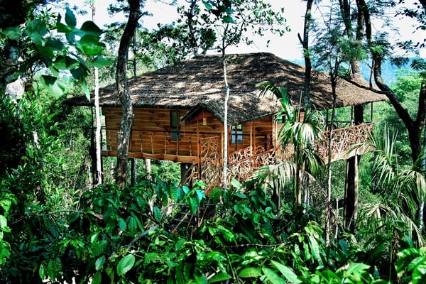 Tranquil Resort Treehouse Tranquil Resort Treehouse