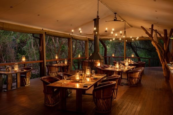 Tree Lodge Dining Area Jacis Tree Lodge Tree Lodge Dining Area Jacis Tree Lodge