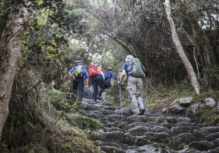 Trekking Trekking
