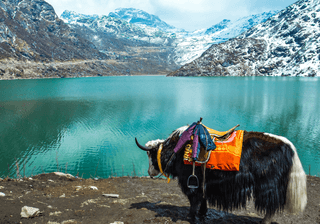 Tsangmo Lake in Sikkim India Canva Pro Tsangmo Lake in Sikkim India Canva Pro